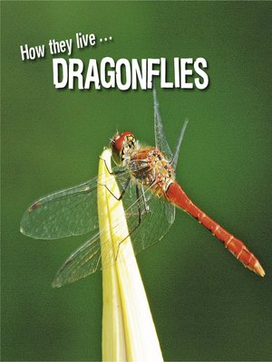 cover image of How they live... Dragonflies